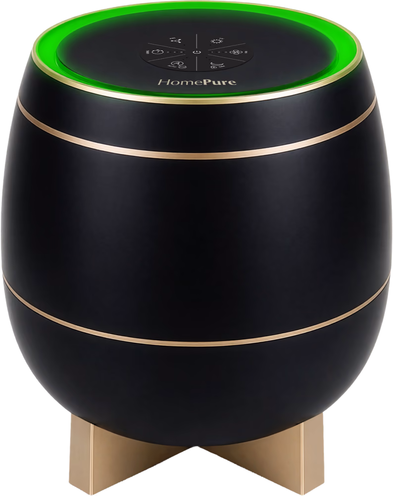 HomePure Zayn Black & Gold
